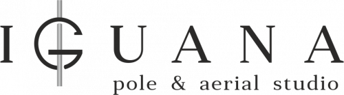 Логотип организации IGUANA